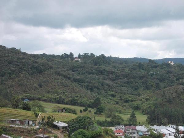 Hotel Chua Gin Cameron Highlands Esterno foto